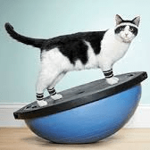 Weekly Workout Structure